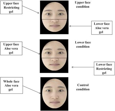 Is the facial feedback theory true Remy ma masturbation
